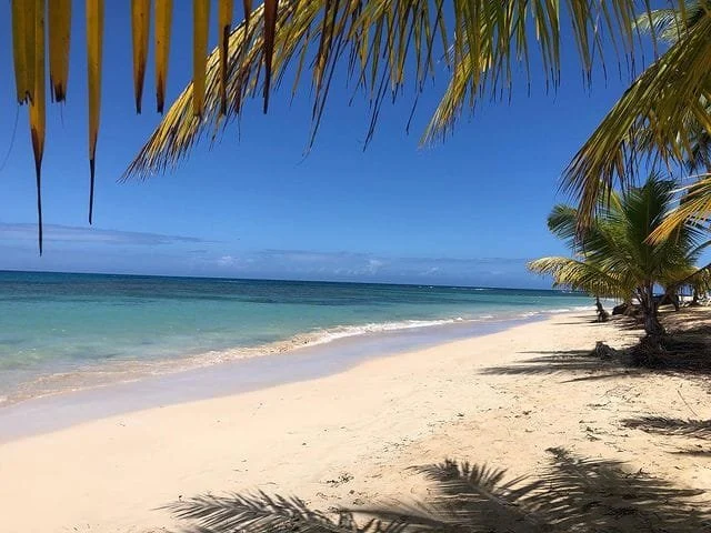 Las ballenas.jpg