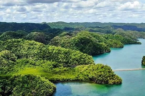 Parqu nacional los haitises excursion samana.jpg