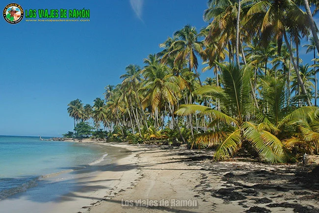 Playa bonita playas.webp
