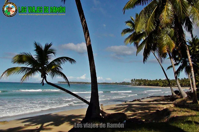 Playa coson playas de las terrenas.webp
