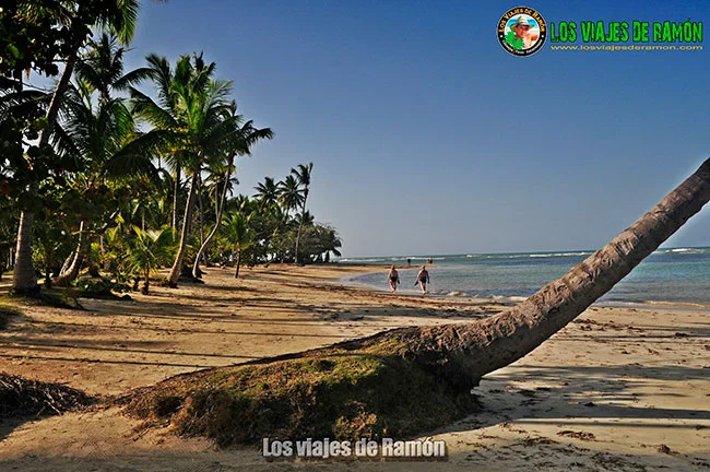 Playa el portillo playas de las terrenas.webp