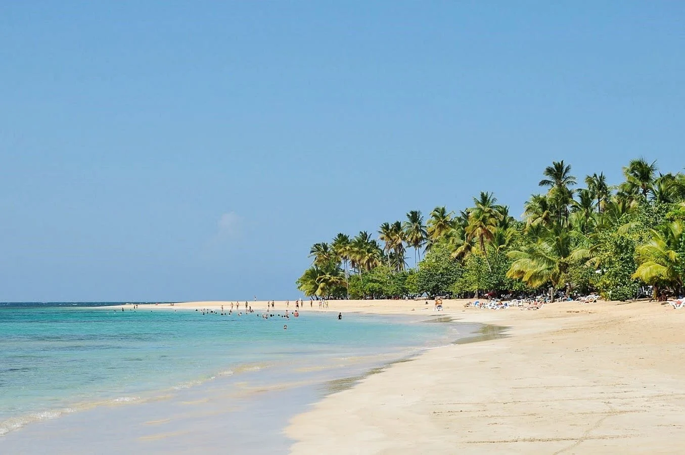 Punta popy 1.jpg