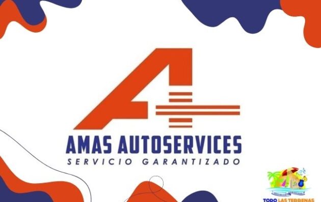 Amas auto services taller mecanico reparación mantenimiento alineación cambio de aceite frenos venta de gomas todo las terrenas samana cerca de mi rd (03F)
