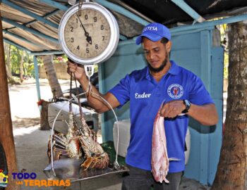 restaurante-luis-playa-coson-comedor-tipico-dominicano-donde-comer-cenar-guia-gastronomia-todo-las-terrenas-samana-1