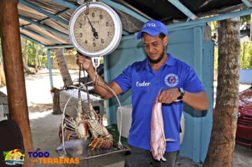 restaurante-luis-playa-coson-comedor-tipico-dominicano-donde-comer-cenar-guia-gastronomia-todo-las-terrenas-samana-1