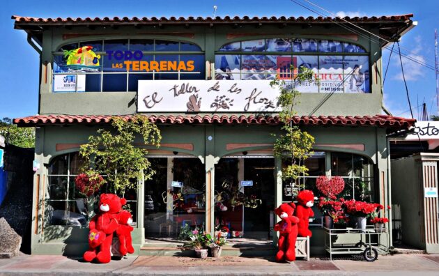 El taller de las flores naterales frescas plantas artificiales ramos floristeria tienda shopping decoracion hogar guia eventos gumpleanos todo las terrenas samana (1)