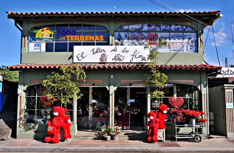 El taller de las flores naterales frescas plantas artificiales ramos floristeria tienda shopping decoracion hogar guia eventos gumpleanos todo las terrenas samana (1)