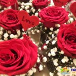 El taller de las flores naterales frescas plantas artificiales ramos floristeria tienda shopping decoracion hogar guia eventos gumpleanos todo las terrenas samana (2)