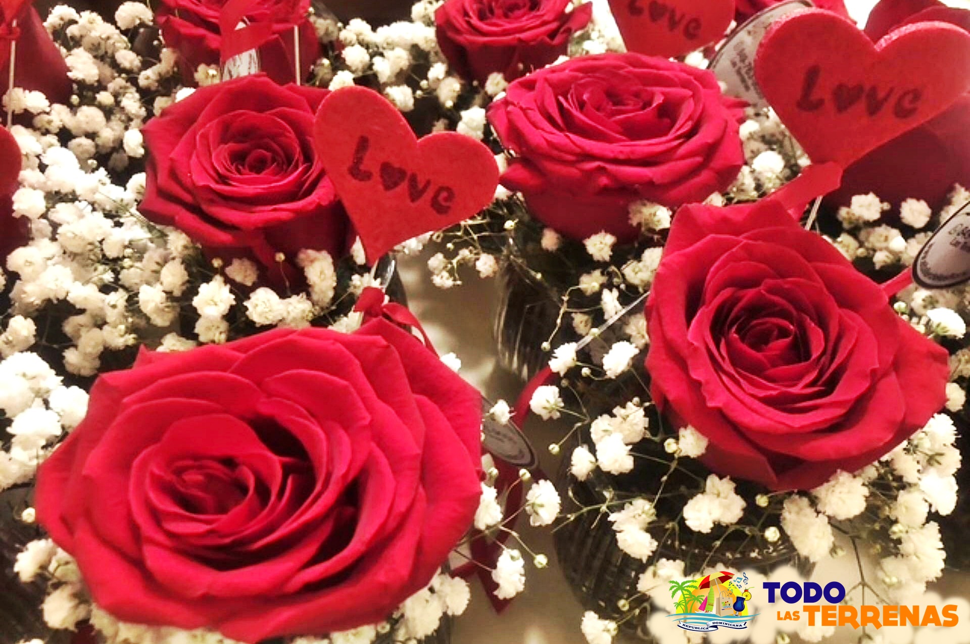 El taller de las flores naterales frescas plantas artificiales ramos floristeria tienda shopping decoracion hogar guia eventos gumpleanos todo las terrenas samana (2)