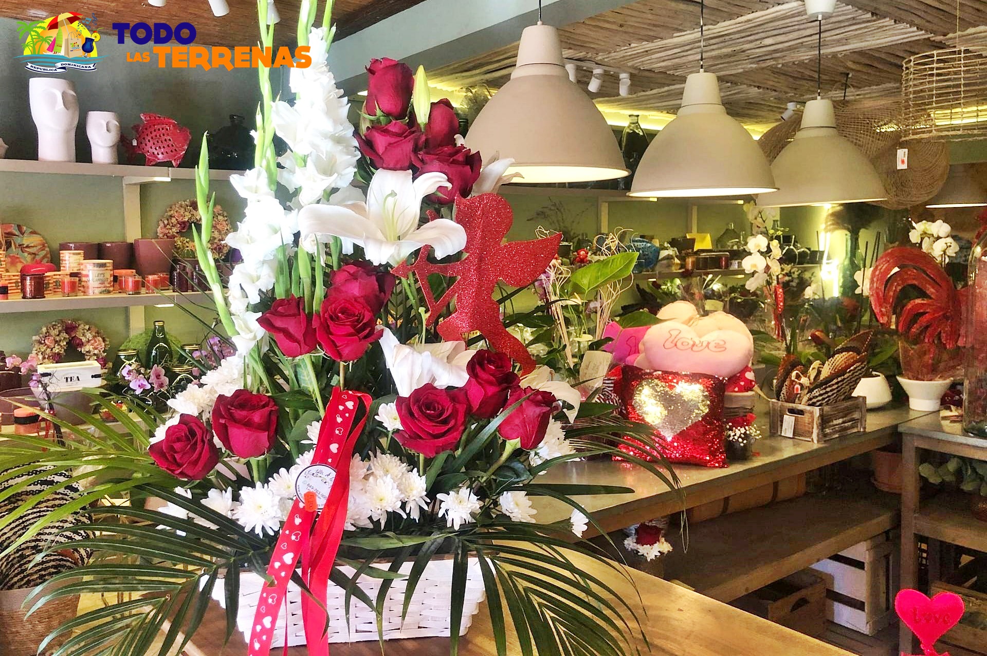 El taller de las flores naterales frescas plantas artificiales ramos floristeria tienda shopping decoracion hogar guia eventos gumpleanos todo las terrenas samana (3)
