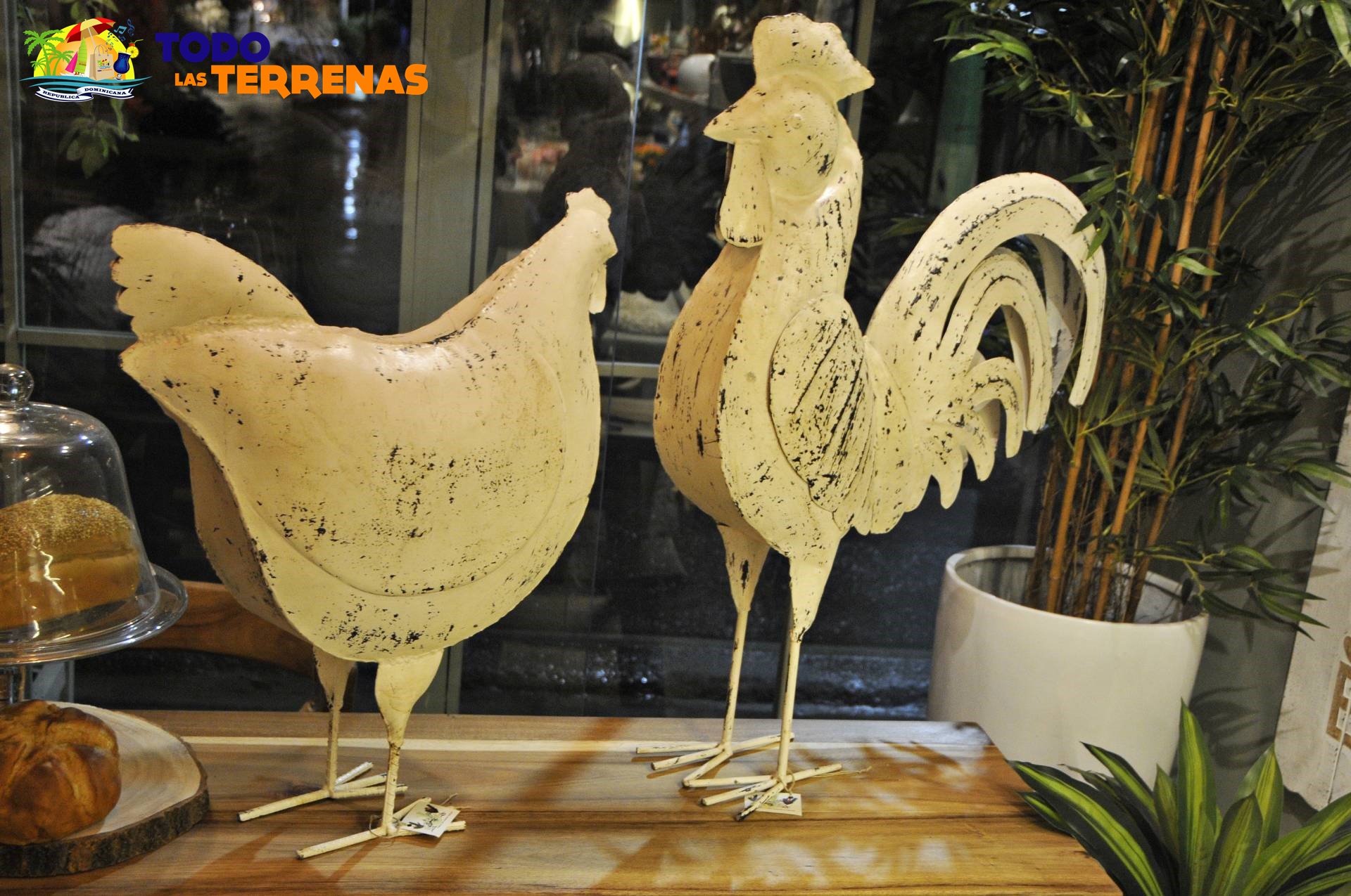 El taller de las flores naterales frescas plantas artificiales ramos floristeria tienda shopping decoracion hogar guia eventos gumpleanos todo las terrenas samana (5)