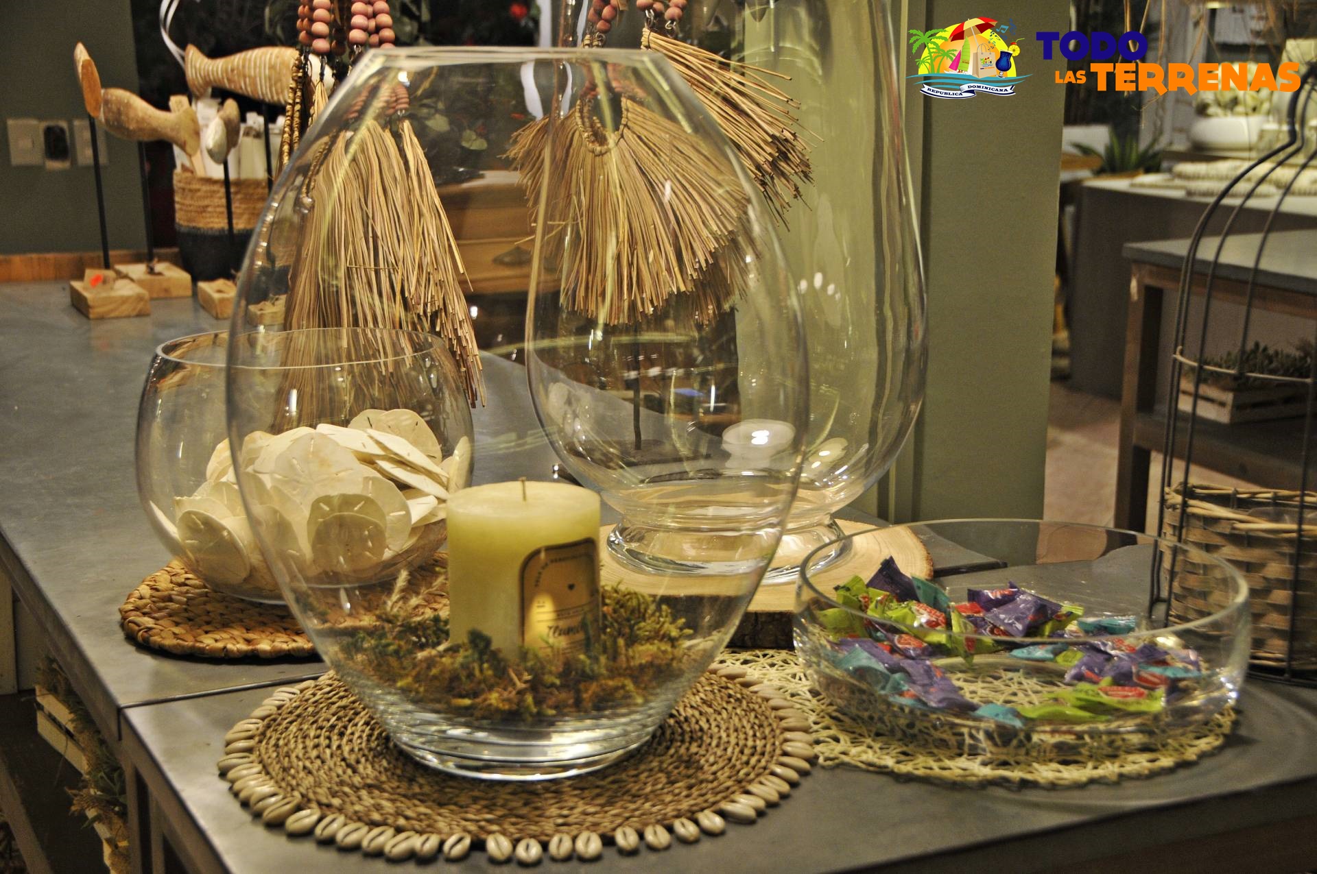 El taller de las flores naterales frescas plantas artificiales ramos floristeria tienda shopping decoracion hogar guia eventos gumpleanos todo las terrenas samana (6)