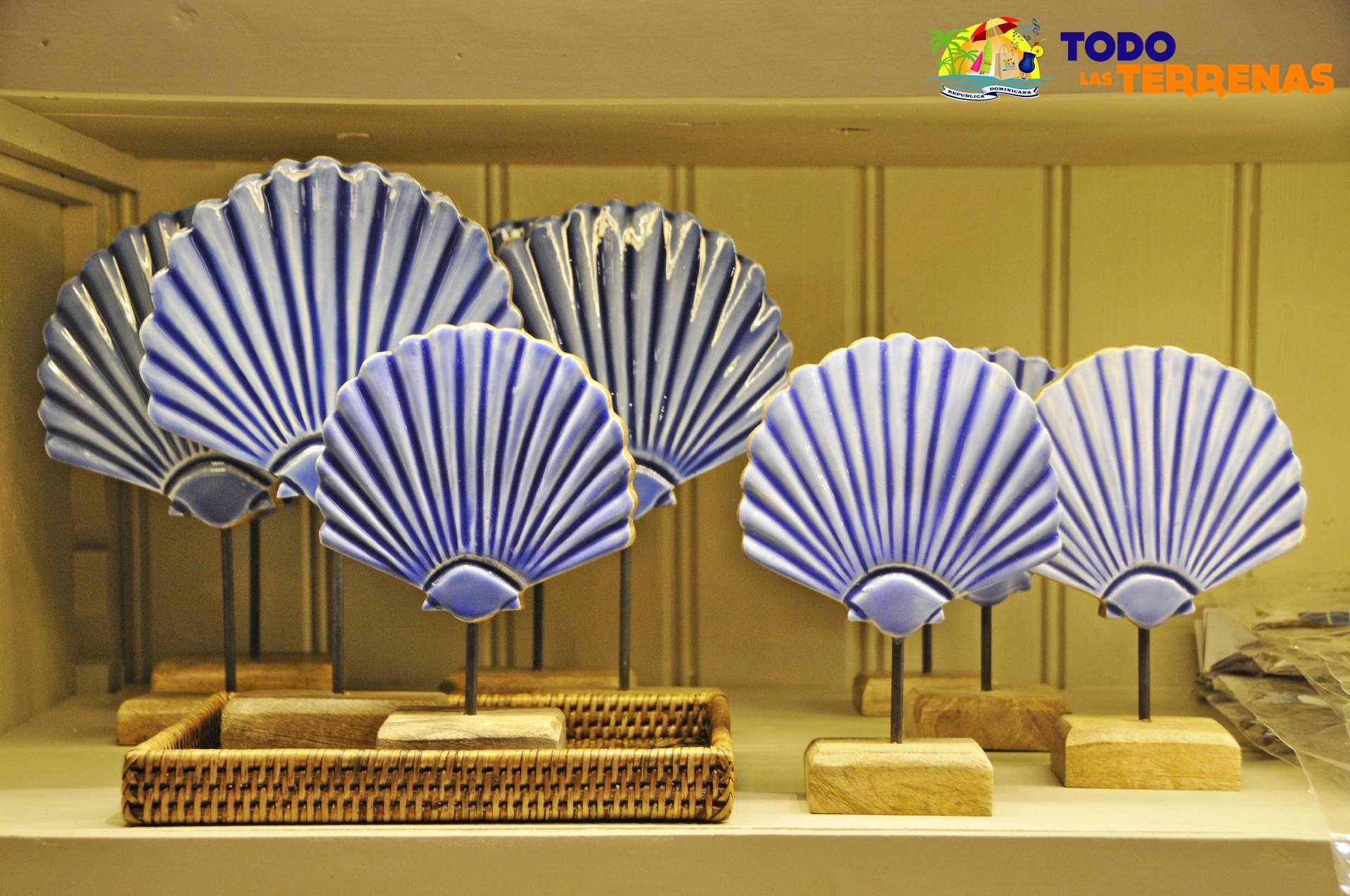 El taller de las flores naterales frescas plantas artificiales ramos floristeria tienda shopping decoracion hogar guia eventos gumpleanos todo las terrenas samana (7)