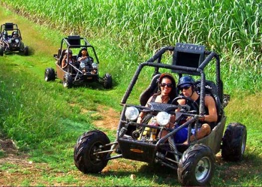Mejores agencias rent a car de atv alquiler vehiculos todoterreno buggies buggy buggys excusiones tours rutas guiadas cerca de mi todo las terrenas samana (01)