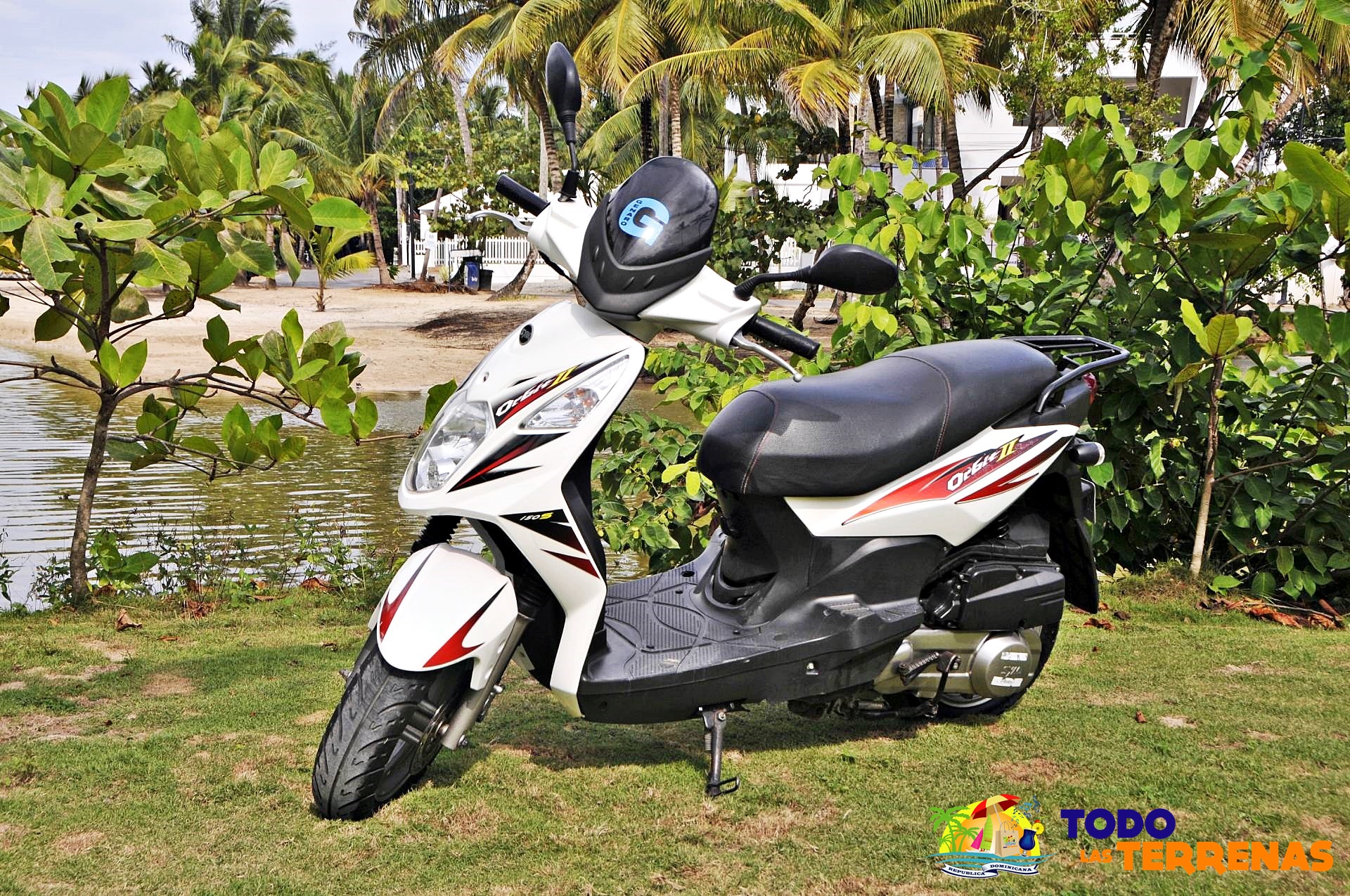 Genaro rent a car and motors mejores atv alquiler vehiculos cohes pasolas motos quads forweels 4x4 carritos de golf buggys cerca de mi todo las terrenas samana (9)