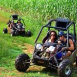 Mejores agencias rent a car de atv alquiler vehiculos todoterreno buggies buggy buggys excusiones tours rutas guiadas cerca de mi todo las terrenas samana (01)