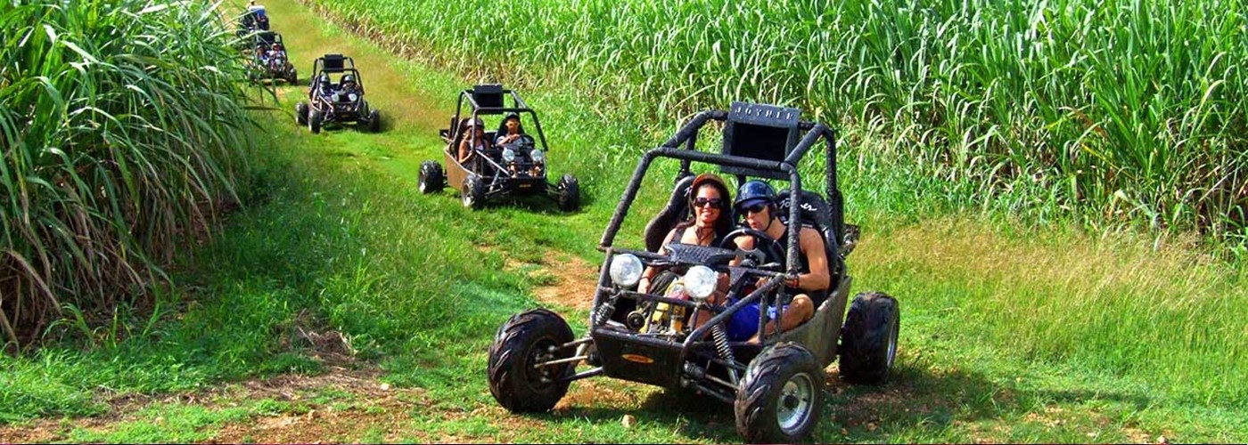 Mejores agencias rent a car de atv alquiler vehiculos todoterreno buggies buggy buggys excusiones tours rutas guiadas cerca de mi todo las terrenas samana (01)