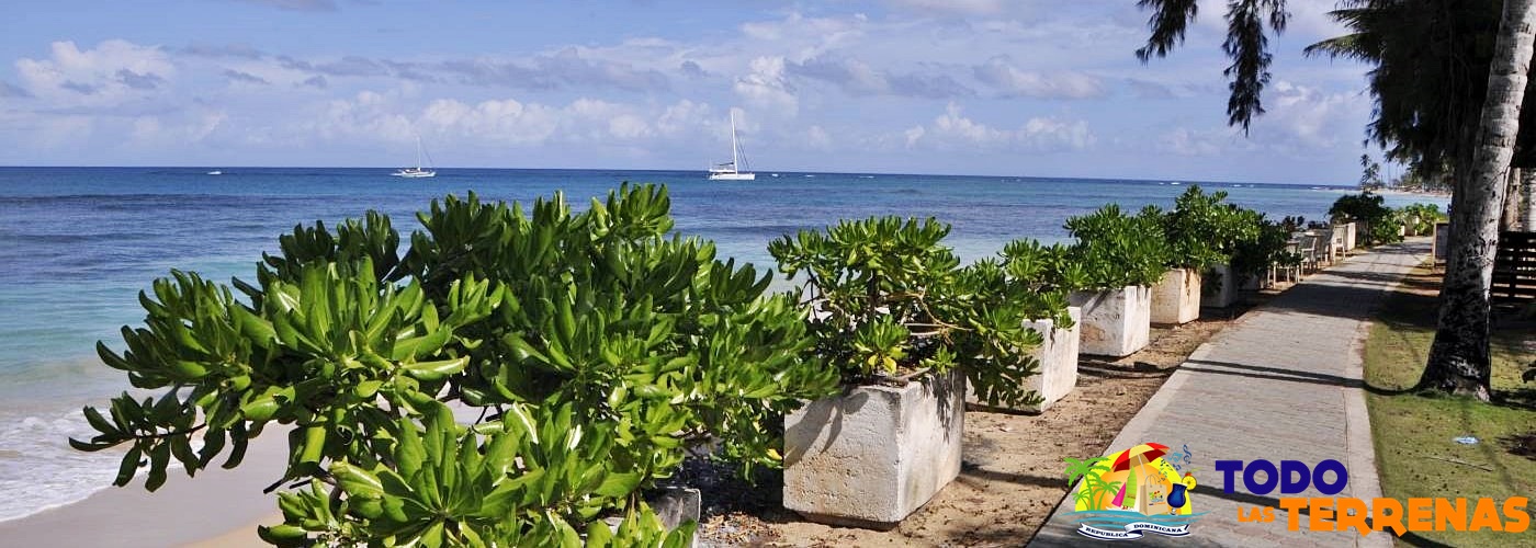 Playa las ballenas aguas cristalinas transparentes arena fina ambiente tranquilo ideal para niños pasear nadar vistas playas más hermosas caribe todo las terrenas samana (01)