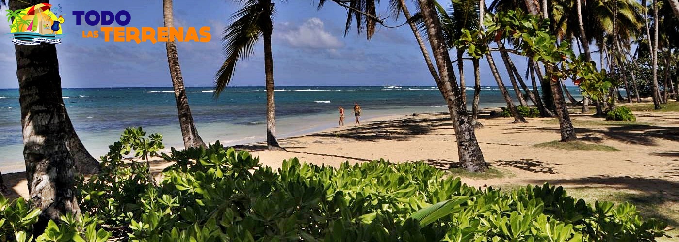Playa las ballenas aguas cristalinas transparentes arena fina ambiente tranquilo ideal para niños pasear nadar vistas playas más hermosas caribe todo las terrenas samana (02)