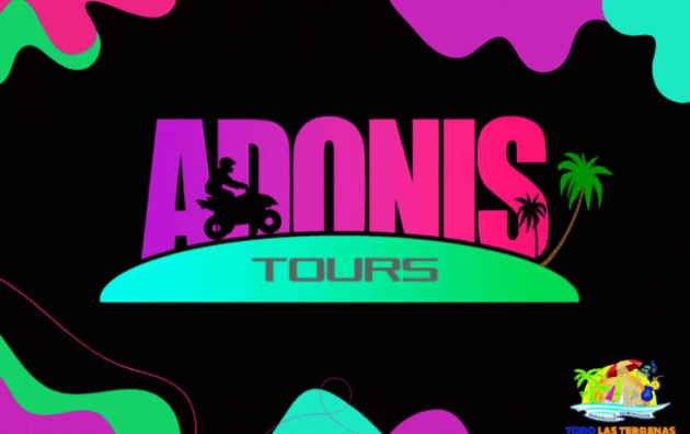 Rent a car adonis tours excursiones mejores atv alquiler vehiculos autos automobiles coches pasolas motos monteo quads forweels buggys todo las terrenas samana (01RFG)