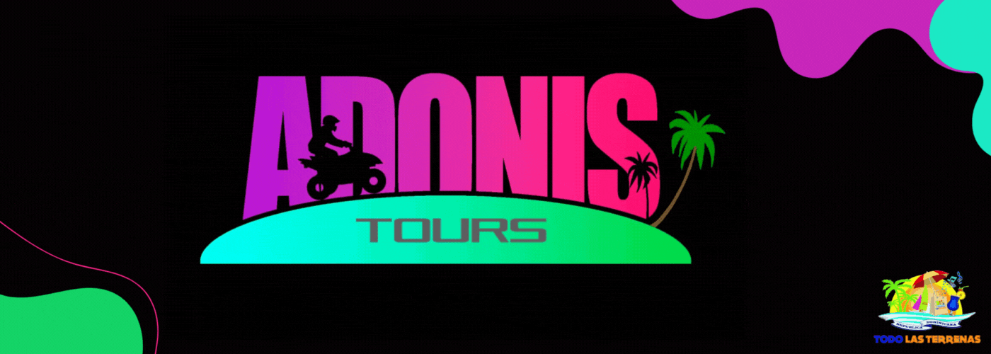 Rent a car adonis tours for rent am aventure excursiones mejores atv alquiler pasolas motos quads forweels buggys monteo todo las terrenas samana (001g)